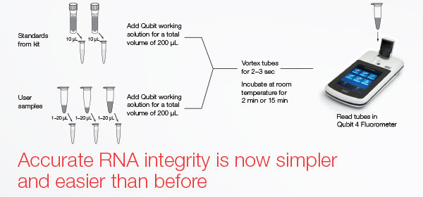 Lose pain, gain RNA integrity: New Qubit products